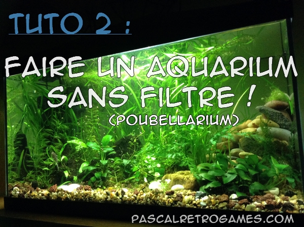 aquarium naturel sans filtre aquarium naturel sans filtre