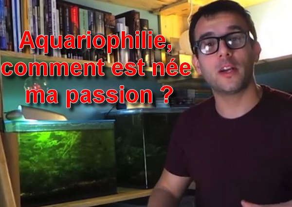 aquariophilie comment est née ma passion